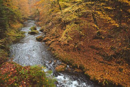 A wonderful hiking tour in the Saxon Switzerland and the Czech Republicの写真素材