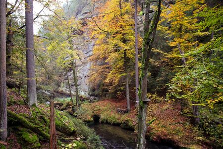 A wonderful hiking tour in the Saxon Switzerland and the Czech Republicの写真素材