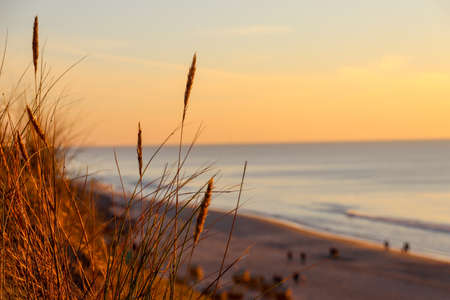Sunset on the island of Sylt, golden hour