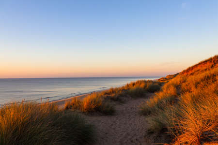 Beautiful dune landscape in the evening on Syltの写真素材