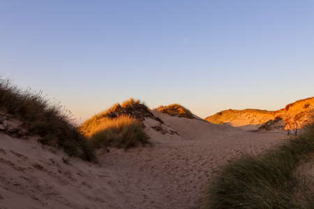 Beautiful dune landscape in the evening on Sylt