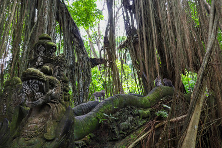 Discover the beauty of Indonesia's landscapes