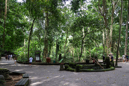 Discover the beauty of Indonesia's landscapes