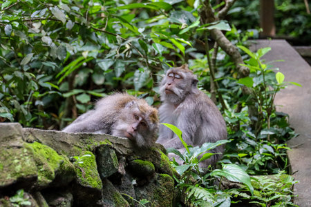 Discover the beauty of Indonesia's landscapes