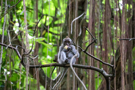 Discover the beauty of Indonesia's landscapes