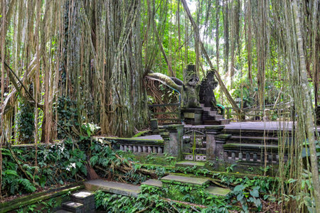 Discover the beauty of Indonesia's landscapes