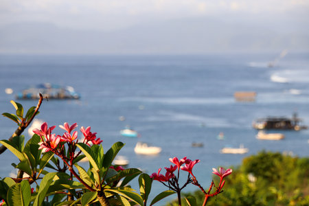 Discover the beauty of Indonesia's landscapes