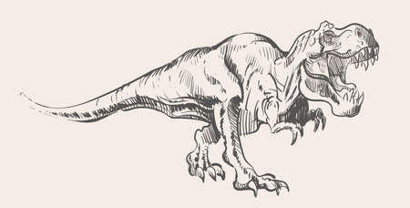 Angry growling full-length Tyrannosaurus Rex ,vector illustrationのイラスト素材