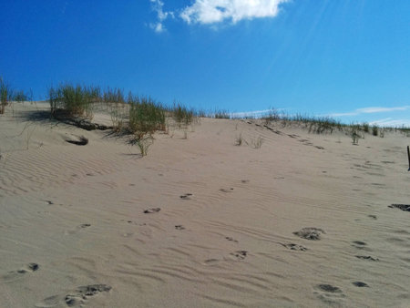 A calm dune on the Baltic sea in Lithuaniaの写真素材
