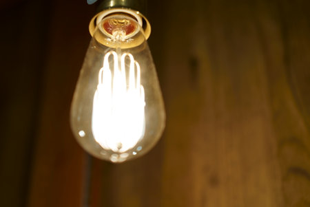 vintage incandescent Edison light bulb on wood wall background.の写真素材