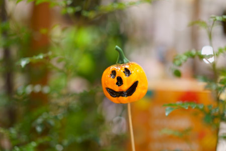 Halloween decoration with pumpkin designの写真素材