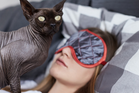 Close op portrait of sphinx cat guarding young ladys dreams. Oriental cat is ready to fight with...