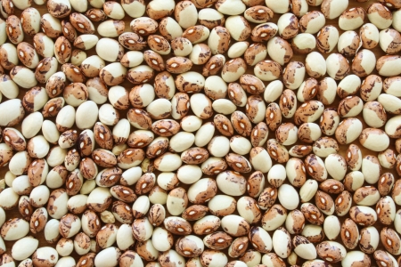 Soup Beans Iの写真素材