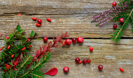 Christmas composition with fir tree heather and berryes on rustic wooden backgroundの写真素材