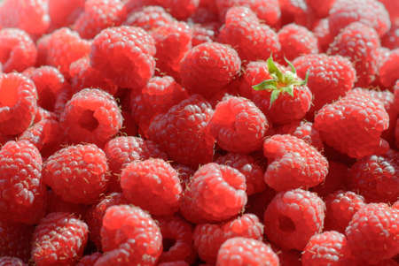 Raspberry