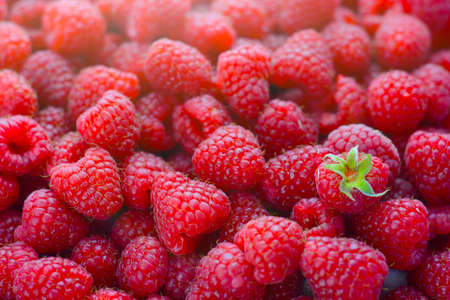 Raspberryの写真素材