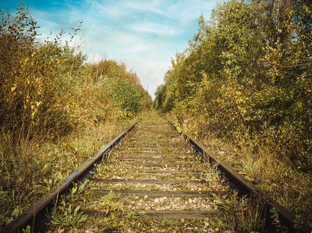 Old abandoned rusted railroad goes away through a forest.の写真素材