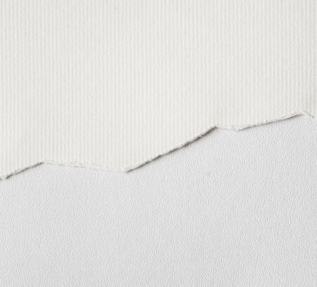 Ripped white textured paper background. Close upの写真素材