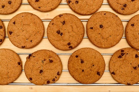 Freshly baked Chocolate chip cookies on cooling rackの写真素材