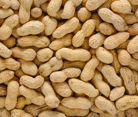 A lot of peanuts directly above