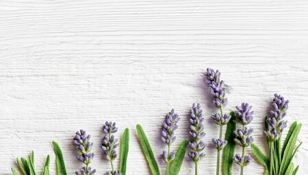 Lavender flowers on white wooden background