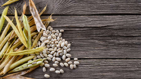 Dry pot and white seed of string bean