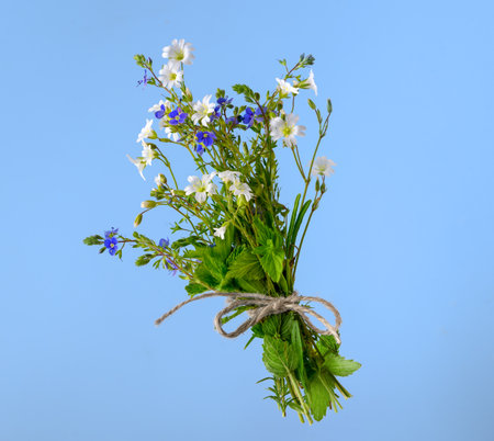 Bunch of wildflowers with rope on blue backgroundの写真素材