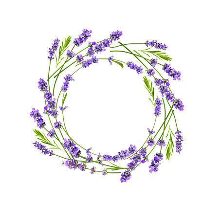 Round frame composition of lavender plant flowersの写真素材
