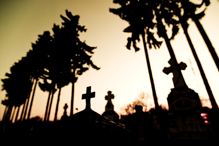 Cemetery at sunset with tombstones and trees silhouetted against skyの写真素材