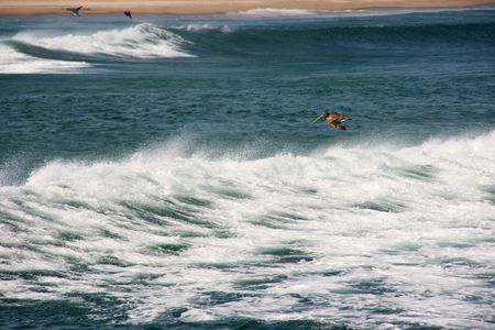 Laguna de Chacahua, Mexicoの写真素材