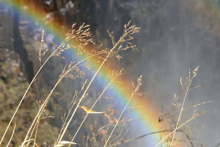 Victoria Falls, Zambiaの写真素材