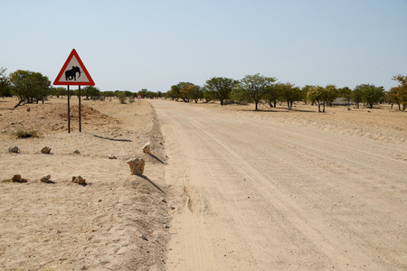 Long distance cycling in the Namib desert, Namibiaの写真素材