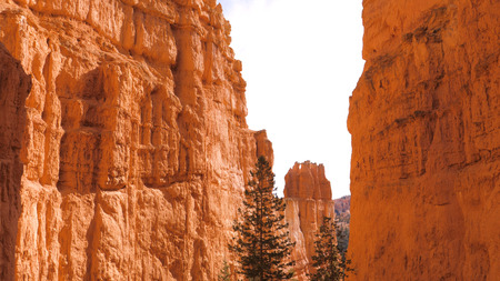 Bottom UP Sand Mountain Red Orange Bryce Canyon National Parkの写真素材