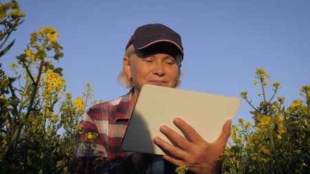 Farmer In A Rural Rapeseed Field Uses A Tablet