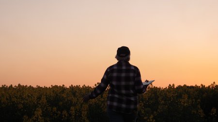 Silhouette Farmer Business Walking In Rural Rapeseed Field At Sunset