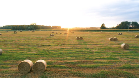 Aerial Flying To Sunset Over Rural Fields With Haystacksの写真素材