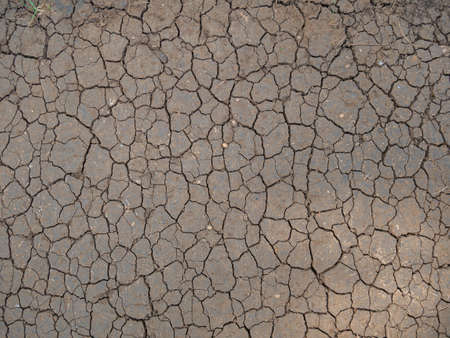 Close-up of the fine cracks and joints in the dried-out ground