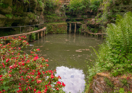 A small pond in Ernzen surrounded by numerous rocks and plantsの写真素材