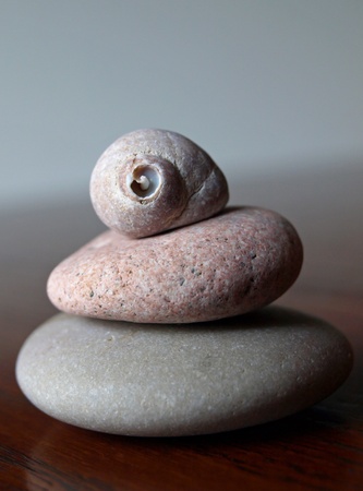 Worn and weathered rocks and shells from the seaの写真素材