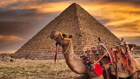 The Pyramid of Khafre in Giza, Egyptの写真素材
