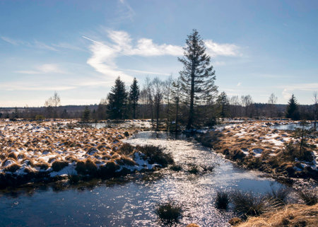 Winter landscape with frozen river and forest in the background. Beautiful winter landscape.