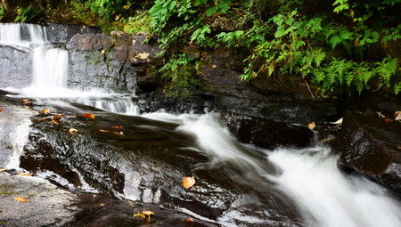 Waterfall in the autumn forest. Small waterfall in the forest.