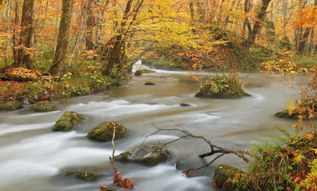 Autumn river flowing through the forest, close-up of photoの写真素材