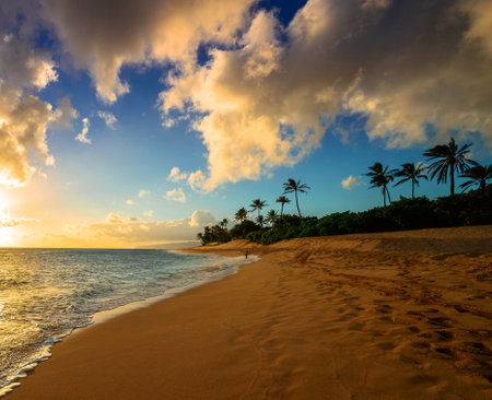 Tropical beach at sunset with palm trees and sand dunesの写真素材