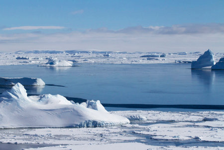 Antarctic landscape with icebergs and ice floes in the ocean