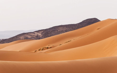 Sand dunes in the Sahara desert, Morocco. Africa. Travel background