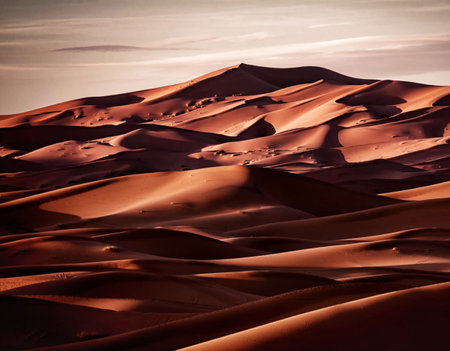 the empty quarter  and outdoor  sand  dune in oman old desert rub al khaliの写真素材