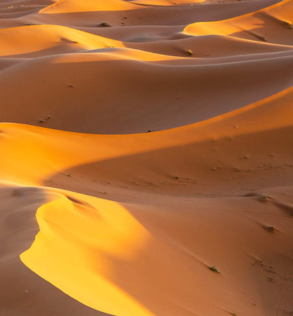 the empty quarter  and outdoor  sand  dune in oman old desert rub al khaliの写真素材