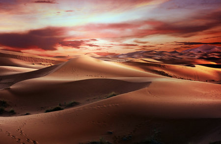 Sand dunes in the Sahara desert, Merzouga, Moroccoの写真素材
