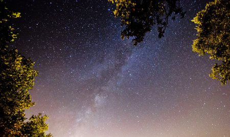 Milky way in the night sky with stars and silhouette of trees